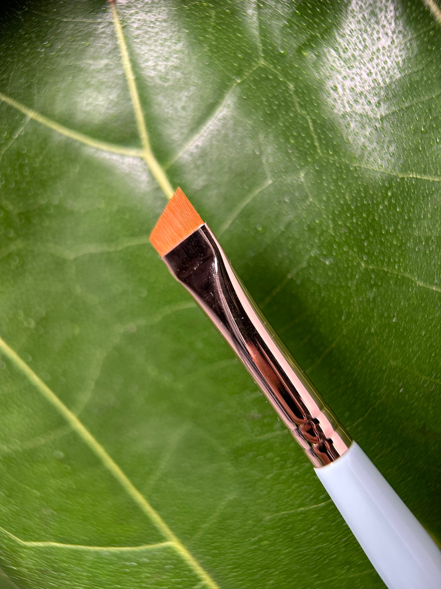 Pennello Obliquo piccolo